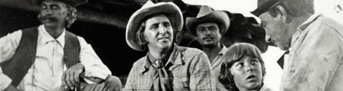 Sergio Reis, cinema.