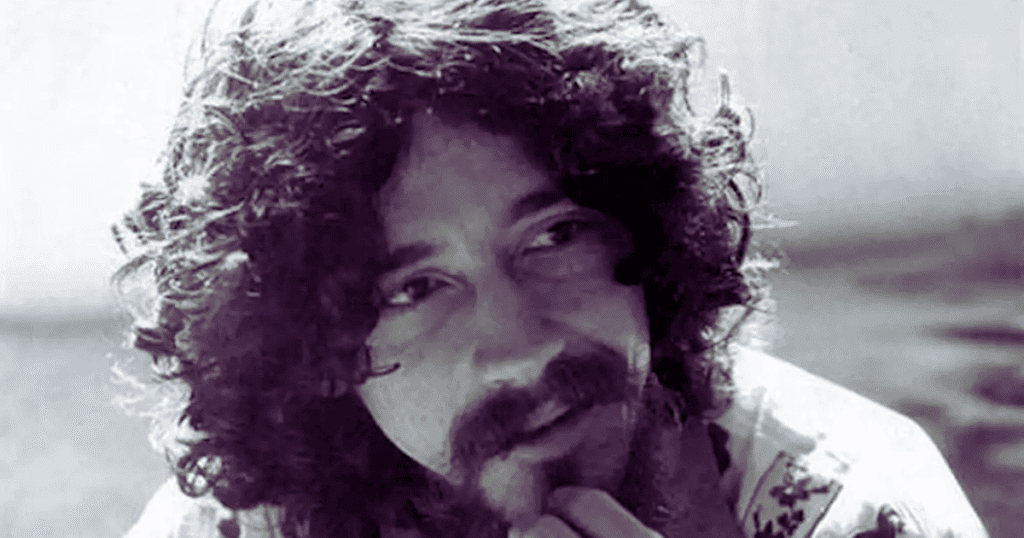 Raul Seixas - Músico