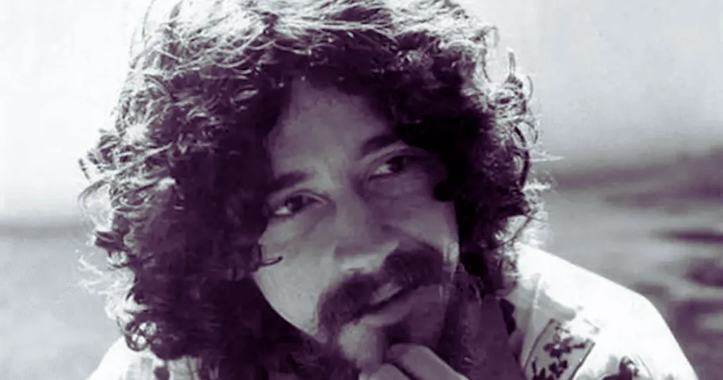 Raul Seixas - Músico