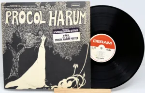 Disco de vinil
