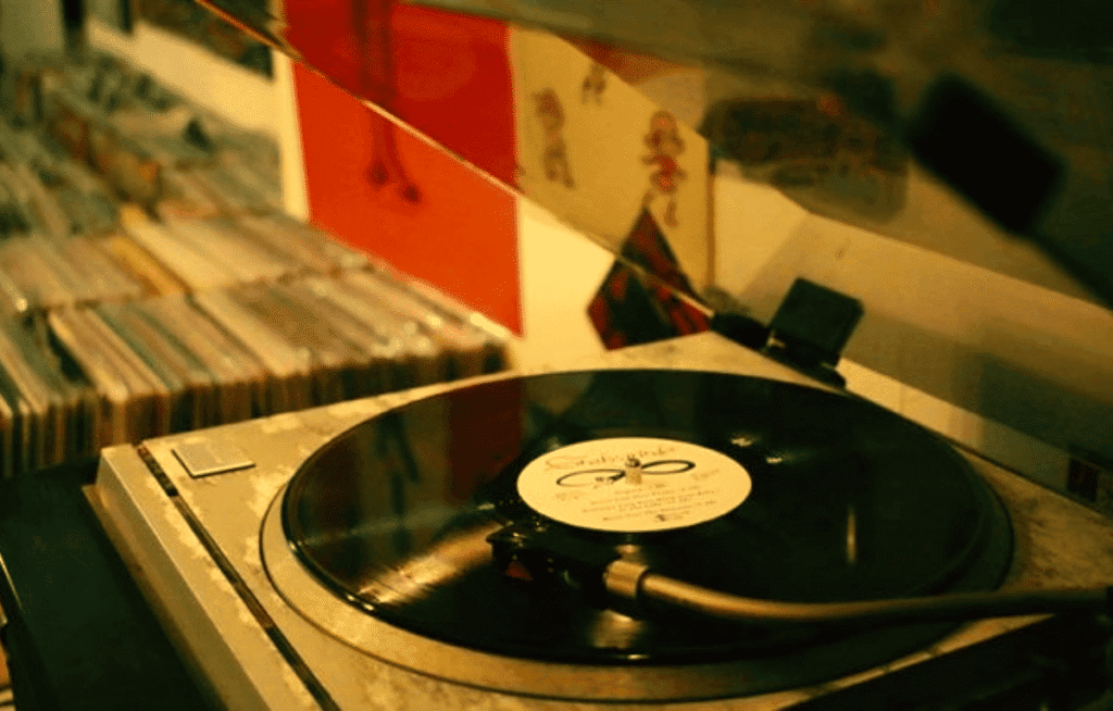 Vinil