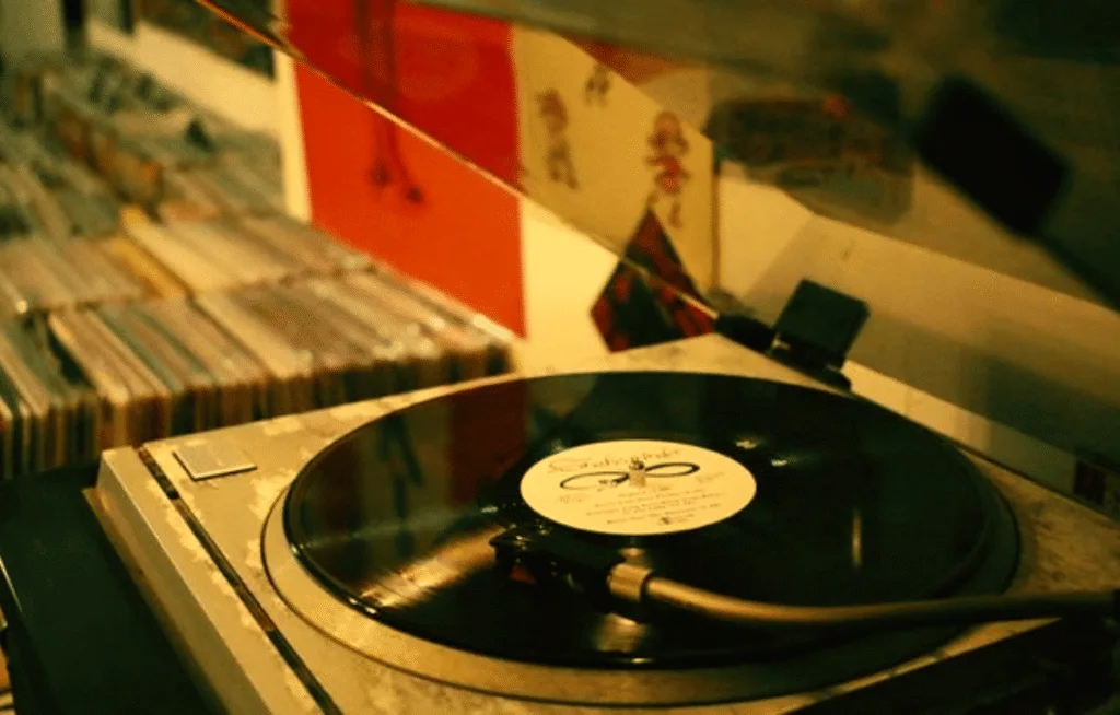 Vinil