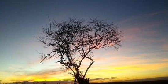 Chapada do Araripe