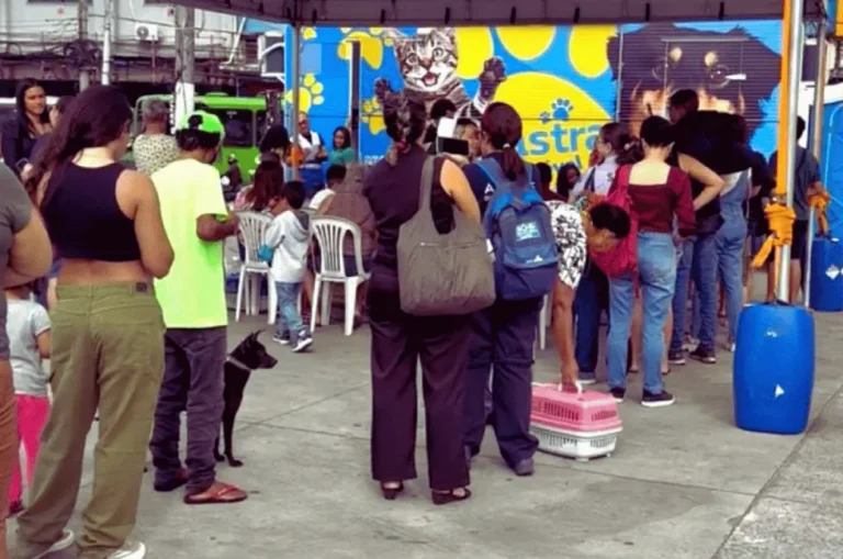 População forma fila para castrar gratuitamente os pets em Duque de Caxias, no projeto Castra Móvel.